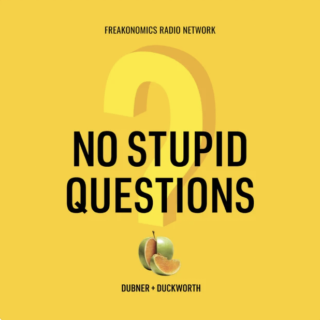 No Stupid Questions Podcast